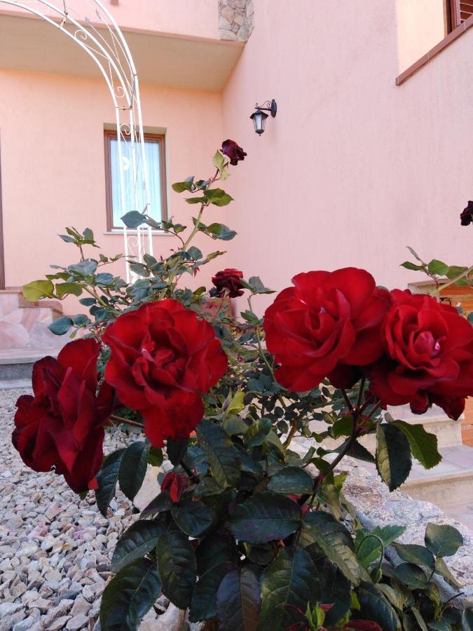 The Roses Garden Bed & Breakfast La Maddalena  Dış mekan fotoğraf